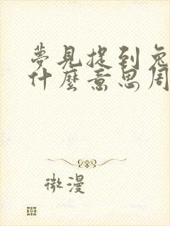 梦见捉到兔子是什么意思周公解梦