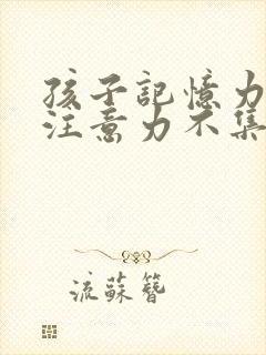 孩子记忆力差,注意力不集中缺什么