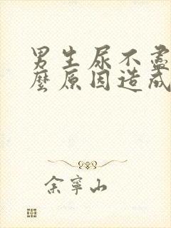 男生尿不尽是什么原因造成的