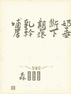 哺乳期断奶后乳房干瘪下垂怎么办