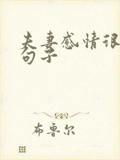 夫妻感情很深的句子