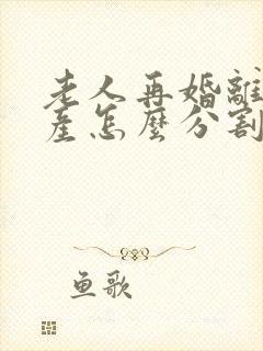 老人再婚离婚财产怎么分割