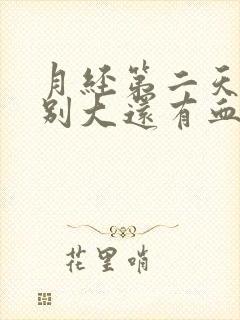 月经第二天量特别大还有血块