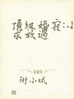 顶级婚宠:小叔求放过