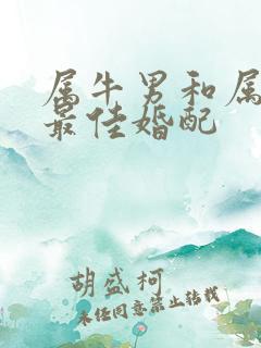 属牛男和属龙女最佳婚配