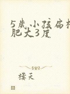 5岁小孩扁桃体肥大3度