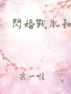 闪婚战胤和海彤