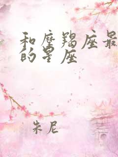 和摩羯座最匹配的星座