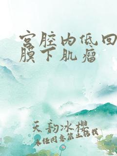 宫腔内低回声粘膜下肌瘤