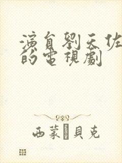 演员刘天佐演过的电视剧