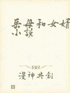 岳母和女婿激情小说