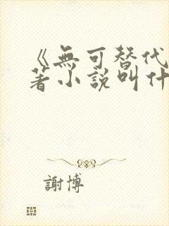 《无可替代》原著小说叫什么