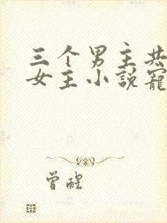 三个男主共享一女主小说宠文