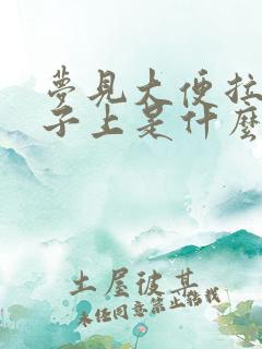 梦见大便拉在裤子上是什么意思