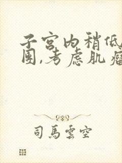 子宫内稍低回声团,考虑肌瘤