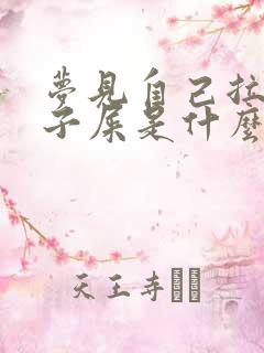 梦见自己拉裤兜子屎是什么意思