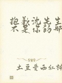 抱歉沈先生孩子不是你的哪里看