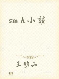 sm h小说