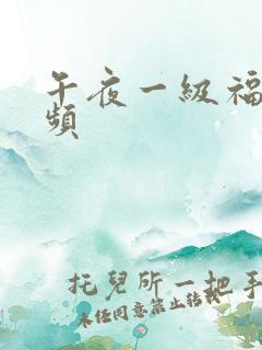 午夜一级福利视频