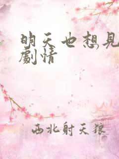 明天也想见到你剧情