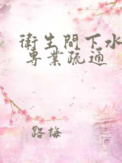 卫生间下水堵了 专业疏通