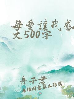 母爱让我感动作文500字