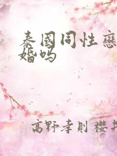 泰国同性恋能结婚吗