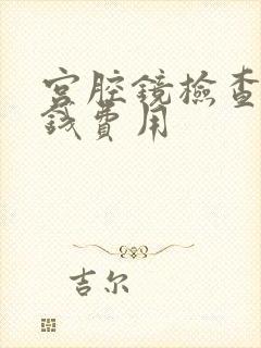 宫腔镜检查多少钱费用