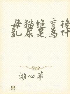 母猫绝育后还会乱尿是为什么