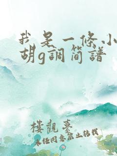 我是一条小河二胡g调简谱