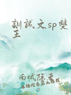 训诫文sp双男主