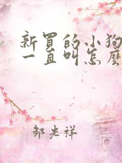 新买的小狗晚上一直叫怎么办