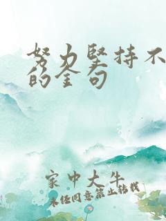 努力坚持不放弃的金句