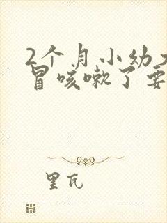 2个月小幼犬感冒咳嗽了要吃什么药