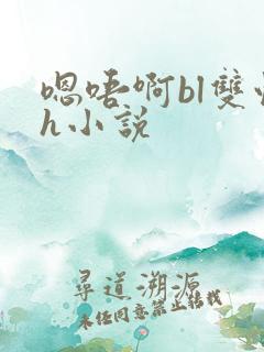 嗯唔啊bl双性h小说