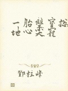 一胎双宝总裁爹地心尖宠