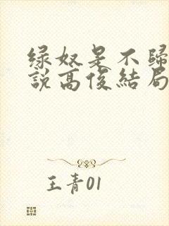 绿奴是不归路小说高俊结局