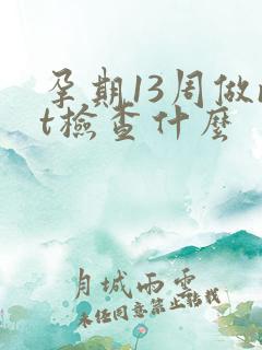 孕期13周做nt检查什么