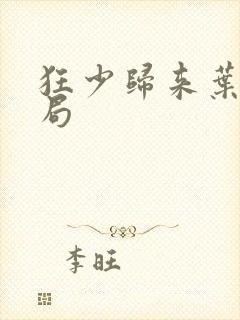 狂少归来叶修结局