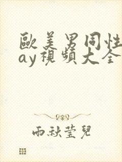 欧美男同性恋gay视频大全网