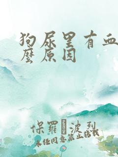 狗尿里有血是什么原因