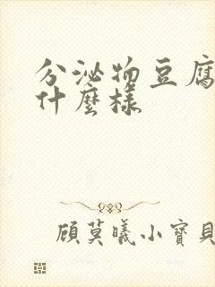 分泌物豆腐渣是什么样