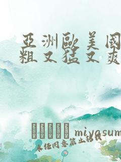 亚洲欧美国产又粗又猛又爽又黄