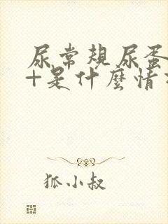 尿常规尿蛋白1+是什么情况