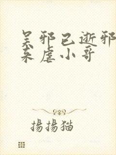 吴邪已逝邪帝归来虐小哥