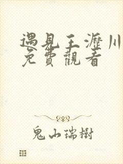 遇见王沥川二部免费观看