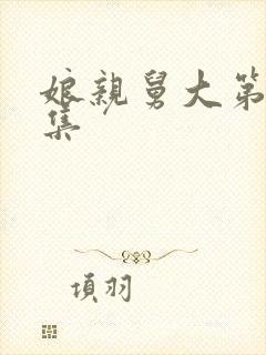 娘亲舅大第40集