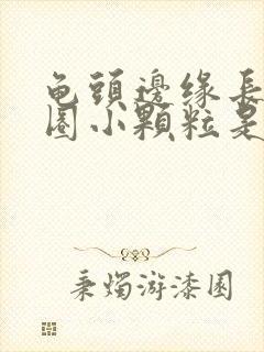 龟头边缘长了一圈小颗粒是什么