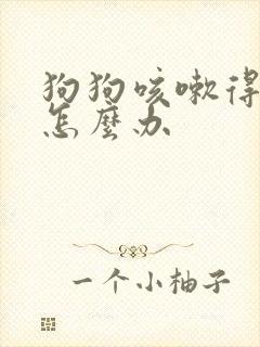 狗狗咳嗽得厉害怎么办