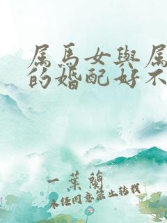 属马女与属蛇男的婚配好不好